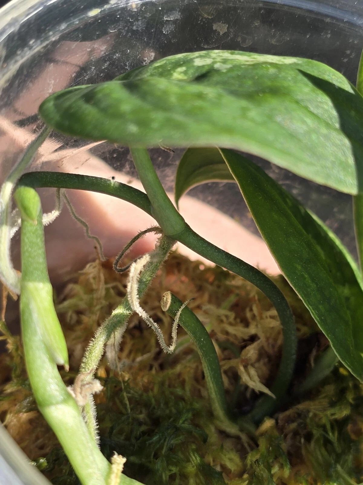 Picture 10 of 24