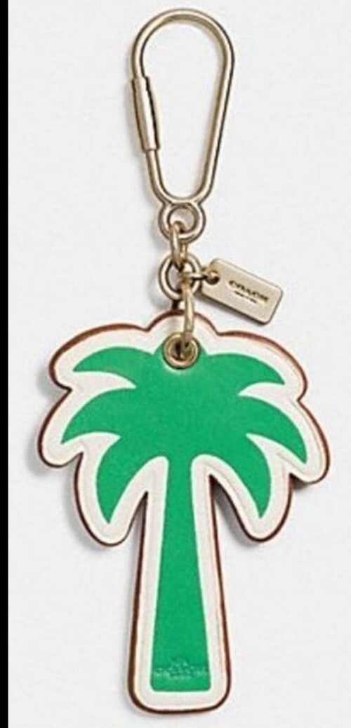 coach keychain