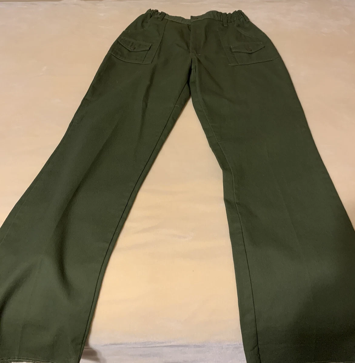 Aggregate 134+ boy scout pants in.eteachers