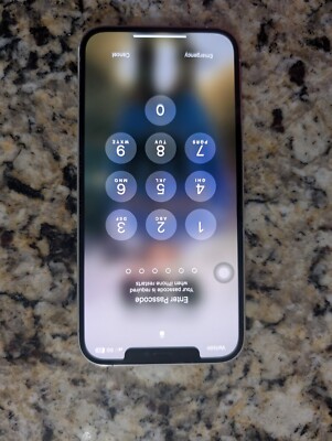Apple iPhone 12 Pro Max - 512 GB - Silver (Unlocked) TikTok installed!