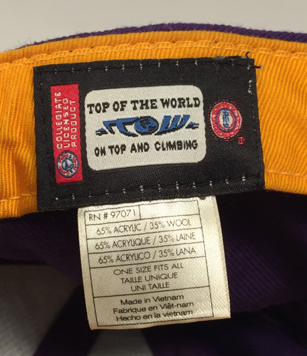 Geaux Tigers LSU Cap Hat Adjustable Purple and Gold - Mascot Mike - Picture 6 of 6