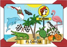 Postal 4x6 - Buc-ee's St Johns Florida - Dolphin Gator, Flamingo, Cítricos - Nueva