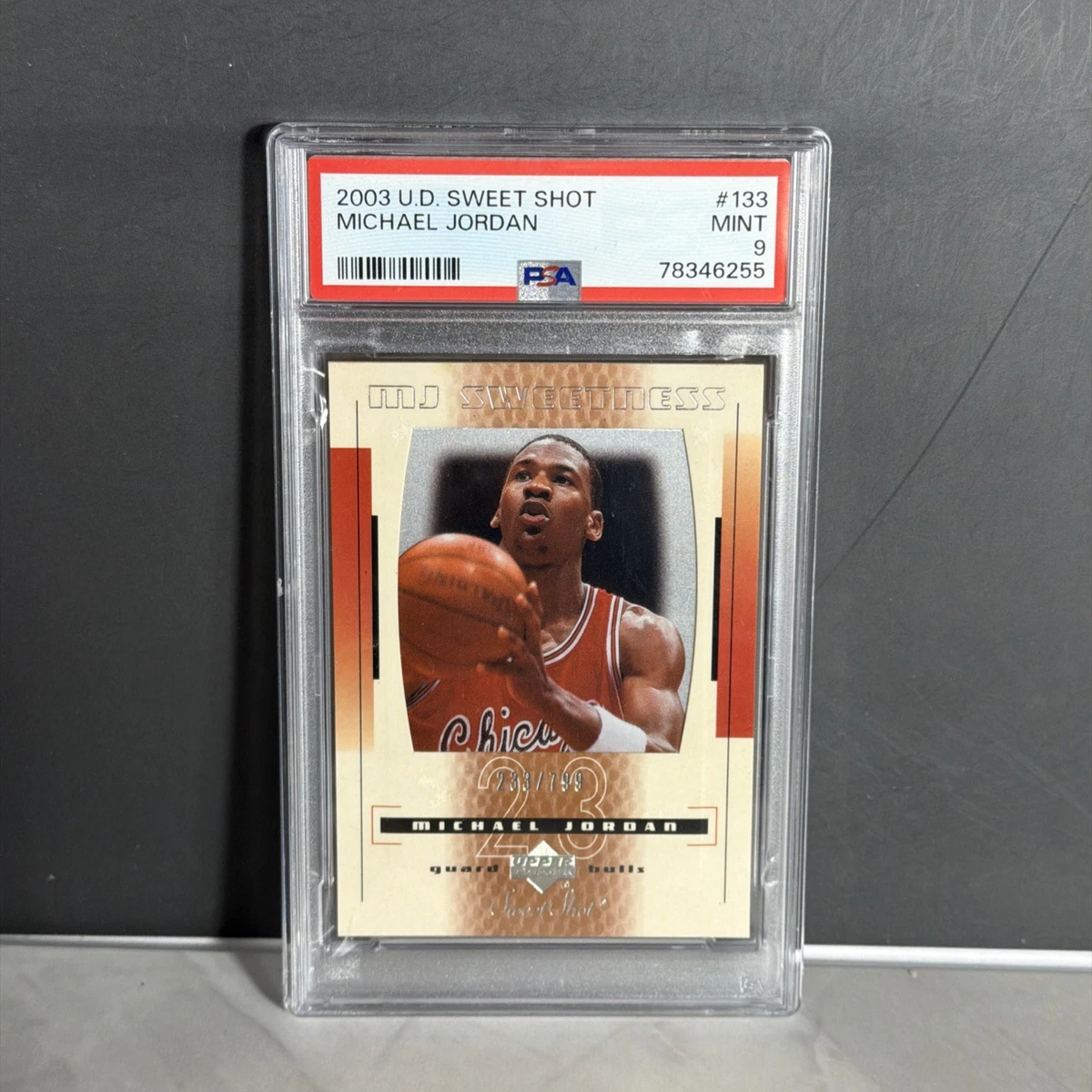 Michael Jordan Basketball 2003-04 Season Sports Trading Card