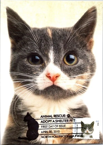 Dr Jim Stamps Maximum Card Animal Rescue Cat 44C Fdc Bifold