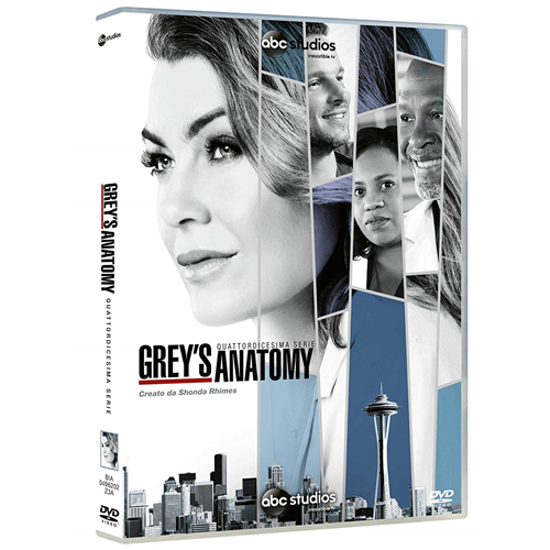 GREY'S ANATOMY - Stagione 14 (5 Dvd)
