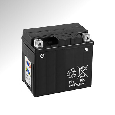 Ersatz Batterie passend für PoulanPro PB105G30 Aufsitz Mäher Rasen Traktor 6Ah