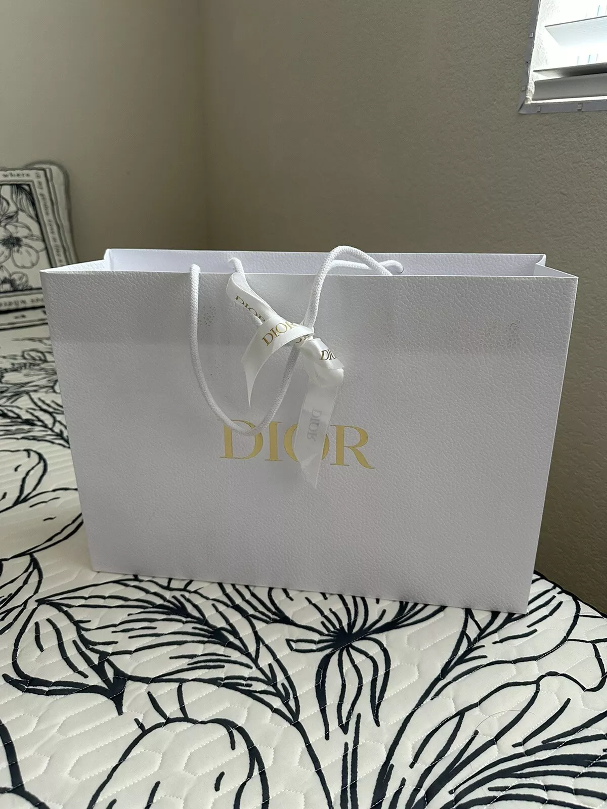 Sac cadeau shopping dior. pls vérifier mon placard pour plus d'articles.