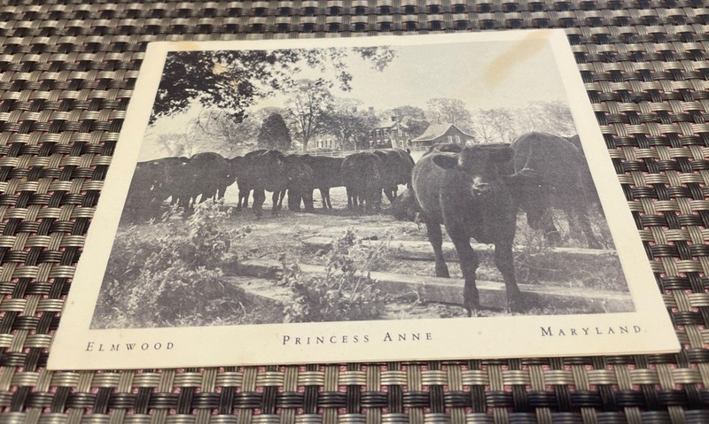 Vintage Photo Card, Elmwood, Prince Anne, Maryland