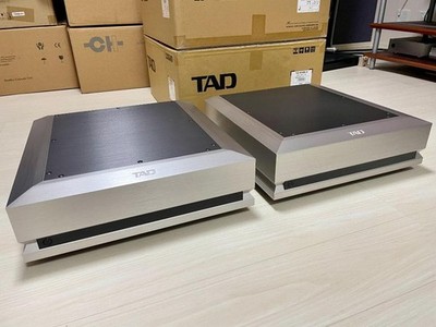 TAD Digital Power Amplifier M1000 Silver Pair
