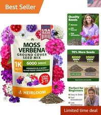 6000 Moss Verbena Seeds - Vibrant Perennial Ground Cover for Gardens  Walkways
