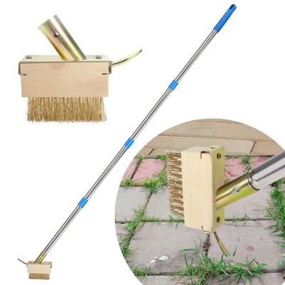 Crack Weeder, Moss Remover Tool, Manual Crevice Weeding Weed Puller Tool with