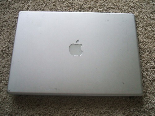 Powerbook G4 15" LCD Display A1025 1 GHz A1046 1GHz 1.25GHz A1095 1.33GHz 1.5GHz - Picture 4 of 5
