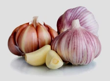 Garlic Bulb (3 Pack) Fresh Siberian Hardneck for Planting and Growing Your Own G