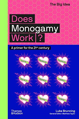 Does Monogamy Work?: A Primer for the 21st Century: 0 (The Big I