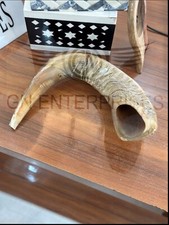 Kosher Polished Ram's Horn Shofar from Israel Jerusalem 14  -16  / 35 cm - 40 cm