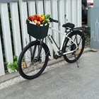 Foto 8 di 10