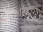 Bild 6 von 10
