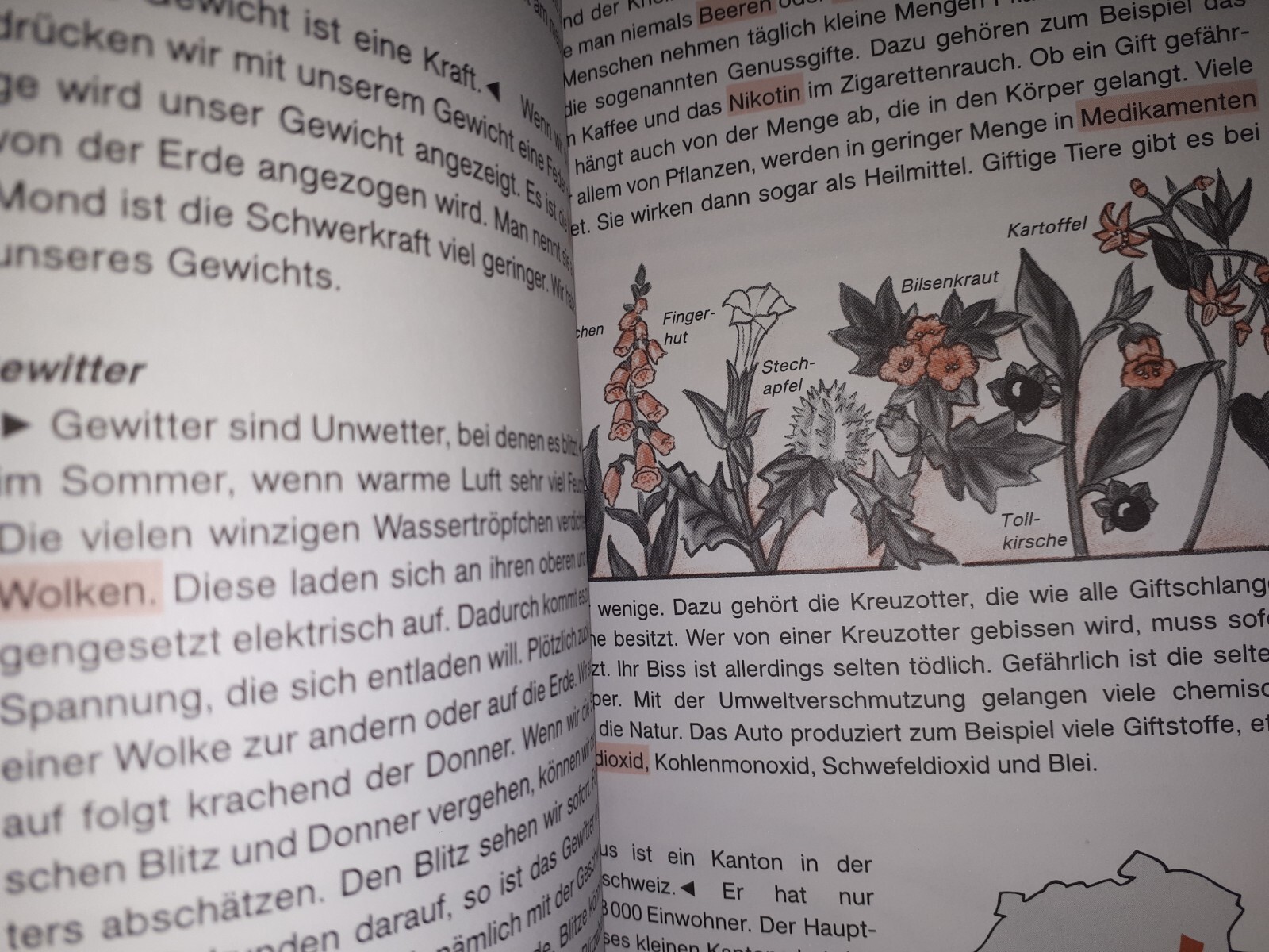 Bild 6 von 10
