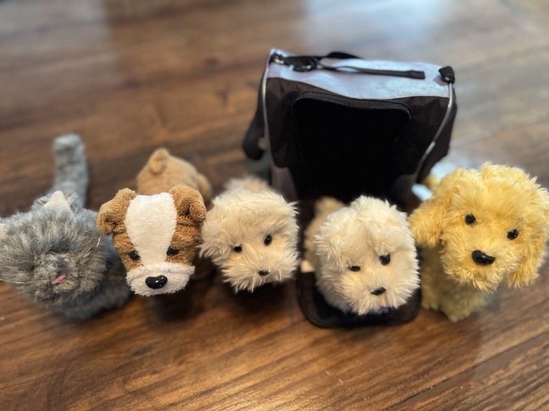 American Girl Pet Lot - Coconut x2, Praline, Honey, Meatloaf + Carrier - Retired