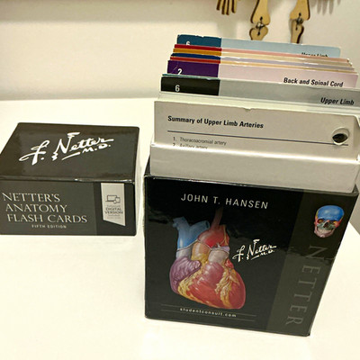 Elsevier Netter's Anatomy Flash Cards 5. Edition Karteikarten Hansen digital