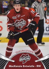 2018/19 Guelph Storm - MacKENZIE ENTWISTLE
