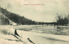 Big Rapids Michigan Muskegon River Morris & Crane Postcard 24-8375