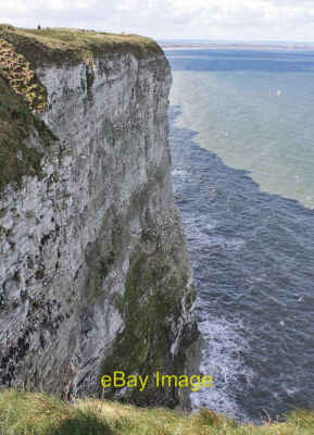 Foto 6x4 Klippenwand, Bempton Dieser fast reine Kalkstein wurde um 2012 gelegt