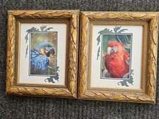 Parrot Prints RED BLUE MACAW Sherry Vintson Carved WOOD GOLD Frame 11x13 Buffett