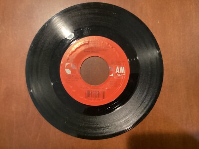Bryan Adams ''Everything I Do I Do It For You'' 45 RPM