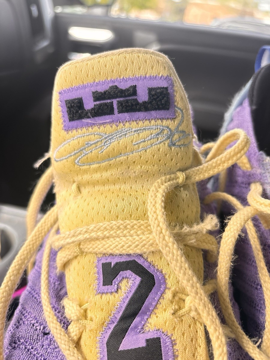 Nike LeBron Purple Yellow Low Top Basketball Sneakers Men display picture 1
