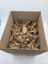Premium California Oak Leaf Litter  Organic Bioactive Substrate  15x10x12" Box