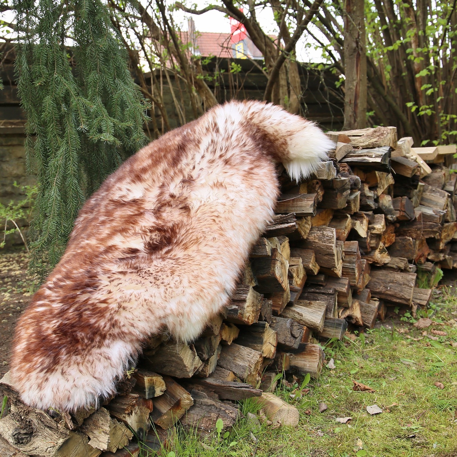 Echtes Merino Lammfell Stracciatella – 110-120 Cm, Kuschelweich, ökologisch Gegerbt