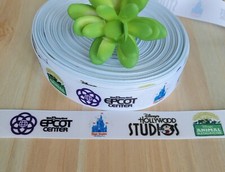 1 Inch Epcot, Animal Kingdom, Hollywood Studios, Theme Park Grosgrain Ribbon