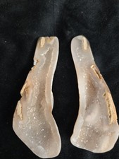 Agatowana para skamieniałości koralu Tampa Florida 72 gramy