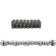 BTR LS Truck Camshaft And Beehive Valve Spring Kit, Truck Norris