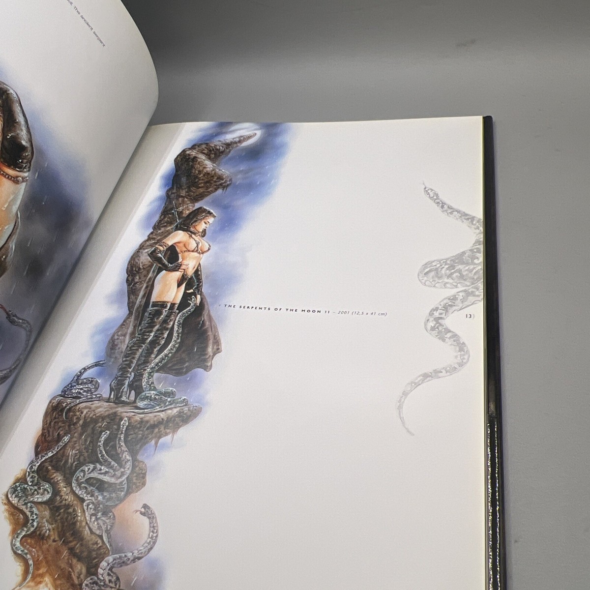 Visions by Royo, Luis Book HC/DJ Illustrated Rare | eBay