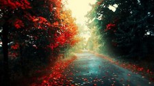 Landscape fall leaves road outdoors fallen plants Custom Gaming Mat Desk