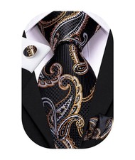 Silk Paisley Ties for Men Necktie Pocket Square Cufflinks Set Foral Tie Sets ...
