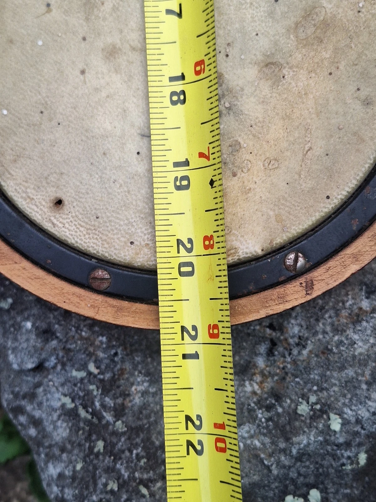 Picture 16 of 17