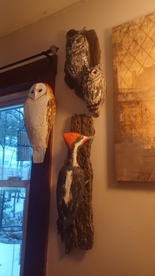 Lineated woodpecker sculpture life size creation