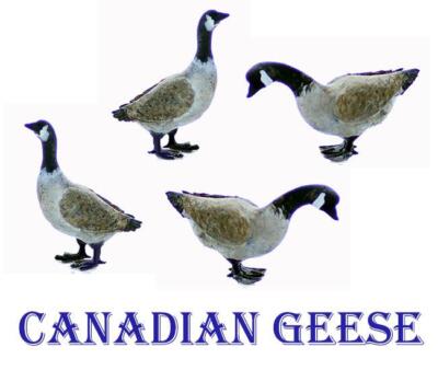 O Scale GEESE Canadian Geese 4 pack unpainted birds