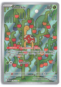 Shuckle Pokemon Card | eBay