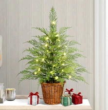 My Texas House Potted 24" Pre-Lit Twinkle LED Cypress Artificial Christmas Tree