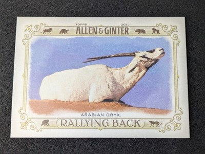 2021 Topps Allen & Ginter #RB-4 Arabian Oryx Rallying Back Card
