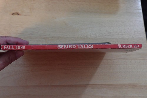 WEIRD TALES MAGAZINE FALL 1989 SPECIAL KARL EDWARD WAGNER ISSUE J.K. POTTER ART - Picture 3 of 3