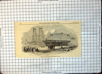 Alter Start Earl Hardwicke Walfangschiff Kuhe Männer Scharnierseile 1850 204G viktorianisch