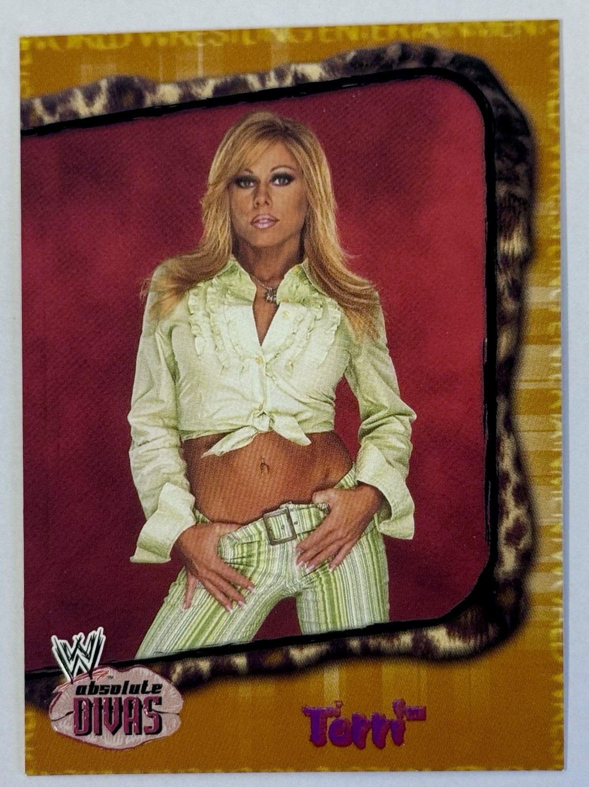 2002 Fleer WWE Wrestling Absolute Divas Terri #17