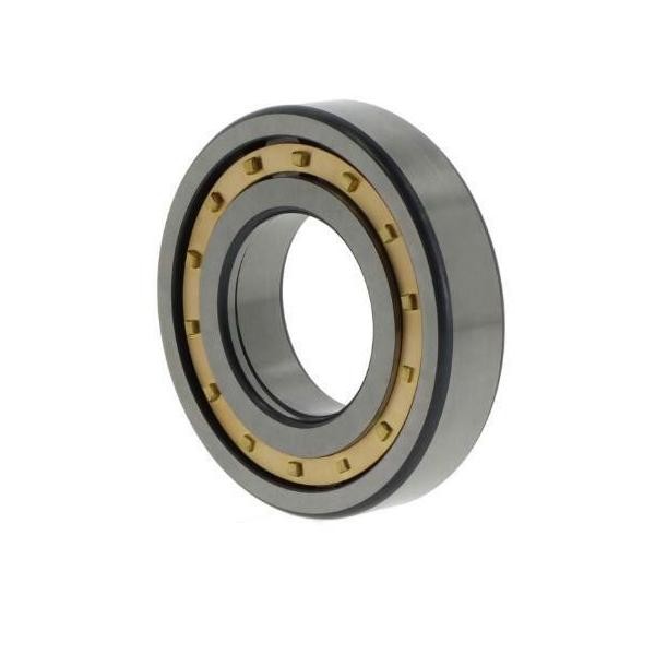 Fag Zylinderrollenlager NUP309 -E-M1 Id 45Mm Ad 100Mm Breite25Mm 1St./Ve-image