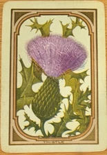 US111 Swap Playing Cards 1 VINT US NAMED FLOWERS THISTLE