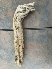 Natural Driftwood for Plants Terrarium Taxidermy Art Projects